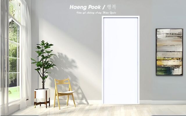 Cửa chống cháy Haeng Pook EG1003