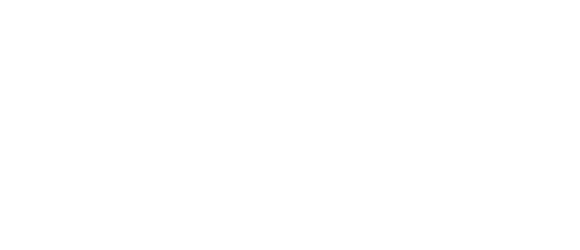 Logo Dolphin Group