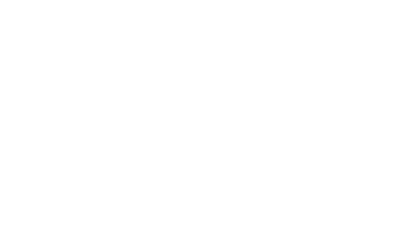 Dolphin Group